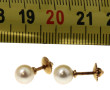 Paire de BO en or jaune 18 cts et perles