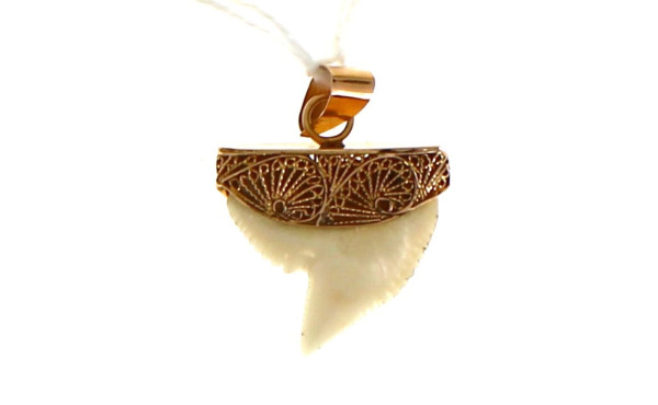 Dent de requin montée en pendentif, or j