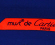 MUST DE CARTIER - Carré en soie dans les