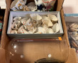 Collection de 17 vases de mariées en por