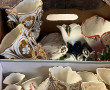 Collection de 17 vases de mariées en por