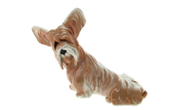 "Chien assis, oreilles dressées", sujet 