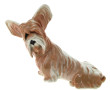 "Chien assis, oreilles dressées", sujet 