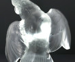 LALIQUE France - Perroquet en cristal bl