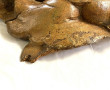PANNEAU ancien en bois naturel sculpté à