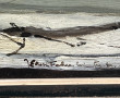 Jean FABER LIMBERT (Xxème) "Marine à mar