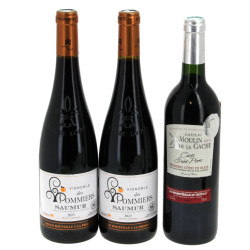 Lot de 3 bouteilles: - 2 vignoble des P