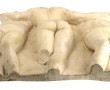 LES TROIS GRACES - Bas-relief en plâtre 