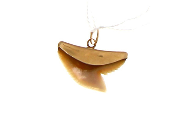 Pendentif dent de requin, monture en or 