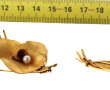 Deux broches vintages en plaqué or année