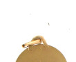 Médaille Christ à la couronne d'épines e