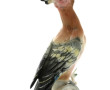KARL ENS - Oiseau branché, sujet en porc