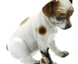 "Chien à l'escargot", sujet en porcelain