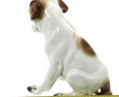 "Chien à l'escargot", sujet en porcelain