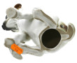 "Chien à l'escargot", sujet en porcelain
