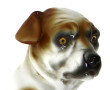 "Chien à l'escargot", sujet en porcelain