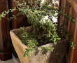 Grand pot de jardin en ciment contenant 