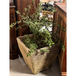 Grand pot de jardin en ciment contenant 