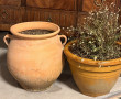 Lot de 2 pots de jardin, l'un en terre c