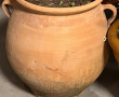 Lot de 2 pots de jardin, l'un en terre c