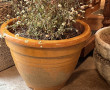 Lot de 2 pots de jardin, l'un en terre c