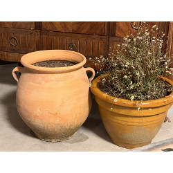 Lot de 2 pots de jardin, l'un en terre c