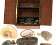 Petite collection de minéraux et coquill
