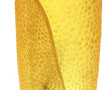Lampe à poser design en résine jaune, H 