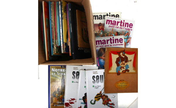 Carton de BD souples et rigides, dont Ma