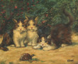 RENEY (Xxème) "Chatons à la tortue", hui