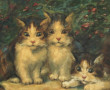 RENEY (Xxème) "Chatons à la tortue", hui