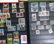 Petite collection de trois albums de TP 