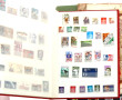 Petite collection de trois albums de TP 