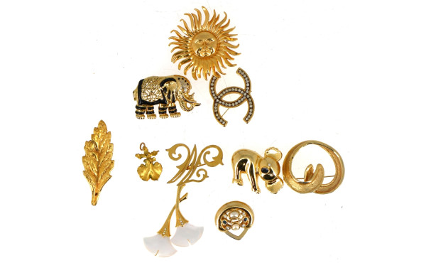 Lot de 9 broches fantaisie et une boucle
