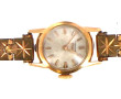 Boîtier de montre en or jaune 18 cts, po