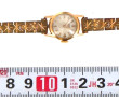 Boîtier de montre en or jaune 18 cts, po