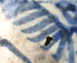 ASIE - Vase ancien en céramique à fond c