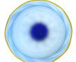 Coupe sur talon en verre bleu ciel, file