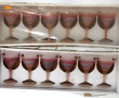 12 verres à cocktail, verrerie d'Hébron,