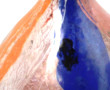 DAUM Nancy - Vase soliflore en verre dan