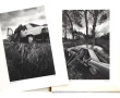 AUTOMOBILE - RENAULT - "Regards…..sur la
