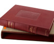 TRÉMOIS Pierre-Yves. "Le livre d'Éros". 