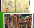 TINTIN - 9 numéros spéciaux de la revue 