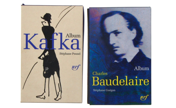 PLEIADE - 2 albums illustrés sous emboit