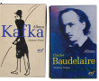 PLEIADE - 2 albums illustrés sous emboit