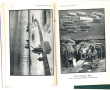 WW1 - The Bystander's - Fragments from F