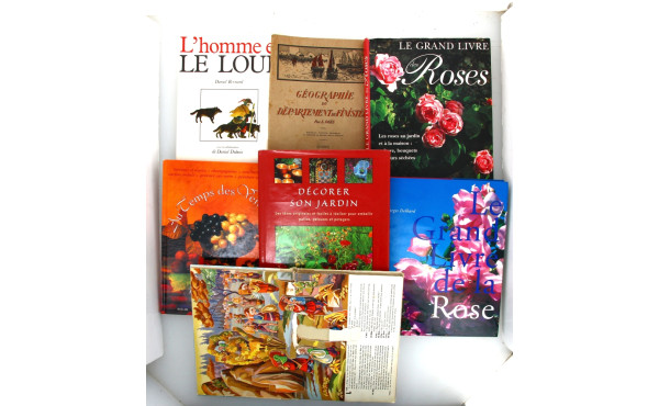 Carton de livres divers jardin, beaux-ar