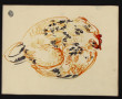 Hélène RIVIERE (1896-1977) "Poule", dess