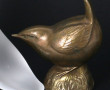 Thème OISEAUX - Sarreguemines - Petit oi