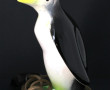 Thème OISEAUX - Sarreguemines - Petit oi